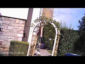 Dexilio 1080p - Part 2:Operations