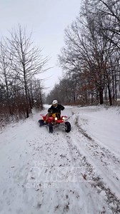 Banshee snow day ❄️ | thebansheechannel