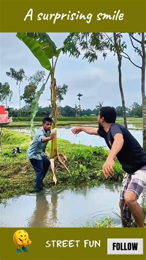 STREET FUN #funnyvideo #funny #comedy #funnycats