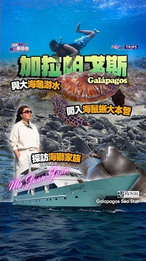 polytrips_hk繼上集帶大家認識加拉帕戈斯群島, 今集 Ms. Joan Joan 繼續帶你展開探險之旅！🚤🌋
