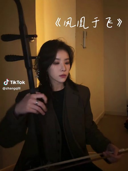 a pair of phoenixes fly together in harmony—marital felicity The soundtrack of the famous TV series Empresses in the Palace.#erhu #music #bgm