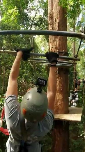 Treetop Challenge High Ropes Course Sunshine Coast | Things to Do | Queensland