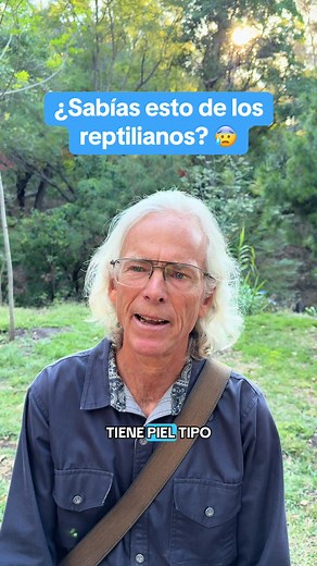 Descubre la Verdadera Apariencia de los Reptilianos
