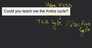 Could you teach me the Krebs cycle?... | Filo