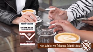 Smoke Free Herbal Cocoa Cigarettes - 10 Packs Regular - 100% Tobacco & Nicotine Free - Non Addictive - Tobacco Substitute - Premium Regular Flavor - 1 Carton (200 Sticks)