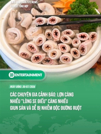 CÁC CHUYÊN GIA CẢNH BÁO: LỢN CÀNG NHIỀU