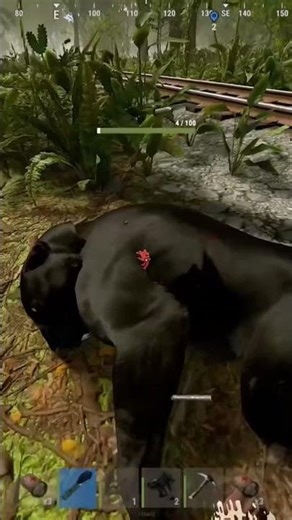 JUNGLE Meat Unlimited #funnyviral #rust #rustソロ #rustgame #rustconsole #gaming #rustclips #funny