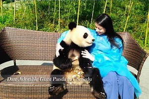 12K views · 85 shares | Discover the REAL China now - useful travel guide, excellent trip stories, best tour packages… | China Discovery | Facebook