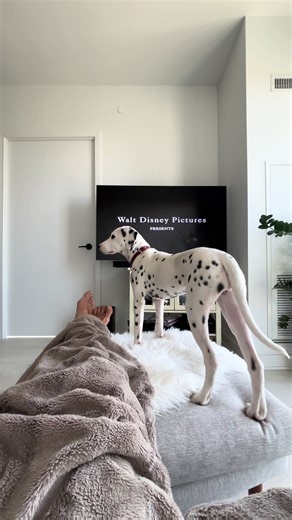 Disappointment When 101 Dalmatians Movie Ends