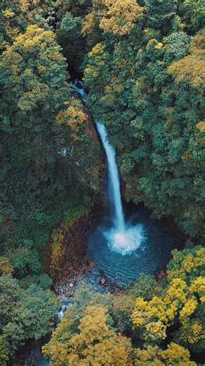 ✨ La esencia de La Fortuna, bocado a bocado. ✨ ➡️ Cada plato cuenta nuestra cultura. ➡️ Cada pared cuenta nuestra historia. ➡️ Cada visita se vive con tradición y pura vida. En La Fonda 506 no solo venís a comer, venís a sentir La Fortuna de verdad. 📍 Centro de La Fortuna, 1 cuadra del parque 🧭 Waze: https://waze.com/ul/hd1gg9f67g 💬 WhatsApp: https://wa.me/50624797771 _______________________________ ✨ The soul of La Fortuna, bite by bite. ✨ ➡️ Every dish tells our culture. ➡️ Every wall share
