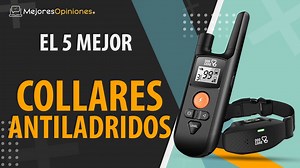 MEJOR COLLAR ANTILADRIDOS - Reseñas y Guía de compra (Comparativa 2021)