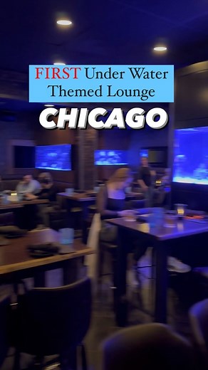 Pooja Naik | Your Chicago Guide on Instagram: "The very first Aquatic Lounge in CHICAGO recently opened! And this girl got to check it out. First impression- WOW! Night life under the sea?! @lostreefchicago With 8 salt water fish tanks and over 2500 gallons of aquatic treasure. The lounge features a high-end experience with creative cocktails and bites! COOL FACT: The lounge is a regular benefactor of the Coral Restoration Foundation, the largest reef restoration organization in the world. . . .