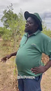 3.2K views · 197 reactions | Why do you like behaving like this in my church 藍藍 Bana Muzanyina￼ | Muzanyina | Facebook