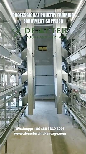 Automated Broiler Chicken Cage for Commercial Poultry Farm Battery Cage System