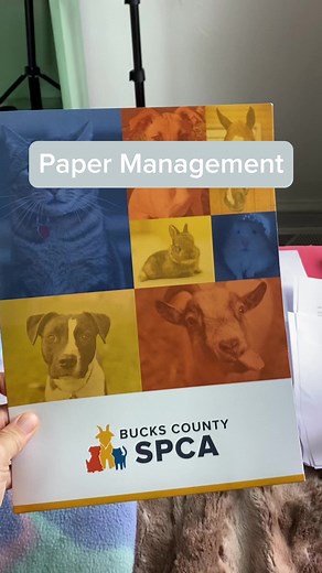 Tips to process, manage and organize incoming papers #professionalorganizer #iOrganize #iOrganizeeverything #HappyOrganizing #organizing #howtoorganize | IOrganize