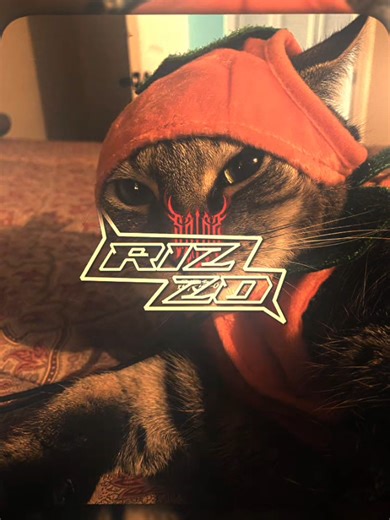 Creating Stunning Light Motion Presets