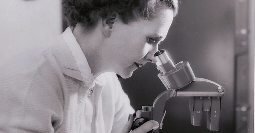 Rachel Carson Papers