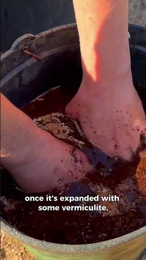 How to make your own potting mix