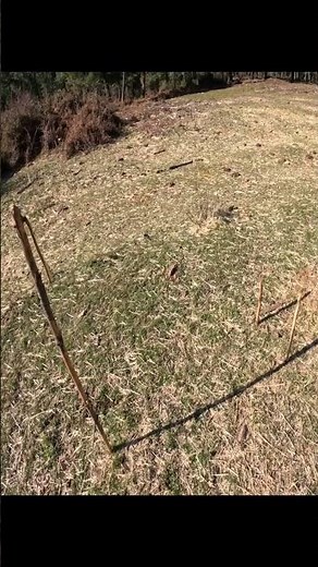 How to find direction in the Northern hemisphere without a compass.