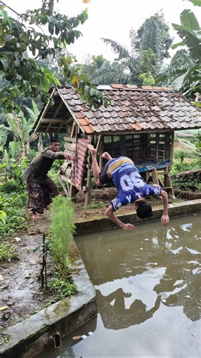 swimming in the fish pond