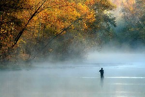 Trout Fishing in Missouri: Where and When to Take Advantage of This State's Great Fisheries