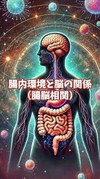 脳以外の体の炎症が脳に及ぼす影響とは？