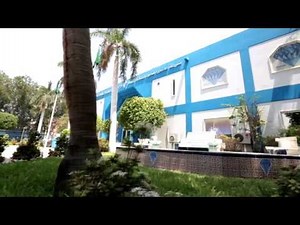 MSGLASSCO Video Presentation