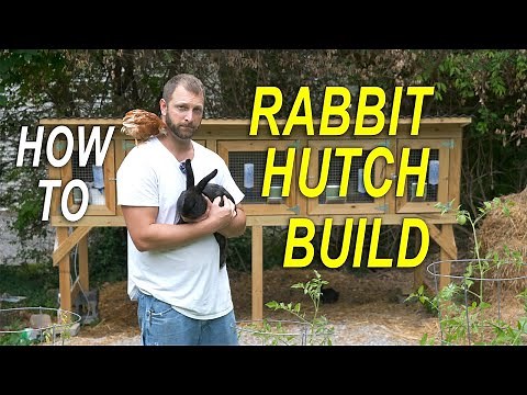 RABBIT HUTCH - PREDATOR PROOF - How To Build
