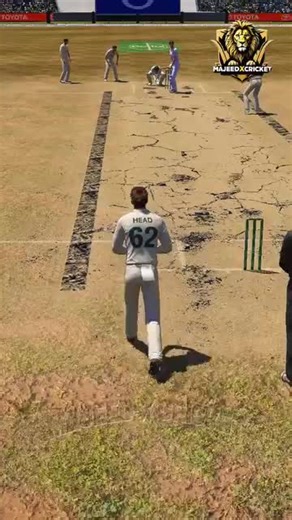 Animated Cricket Match Highlights for Fans
