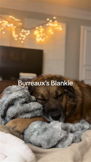 You can’t convince me I didn’t birth him myself 😭