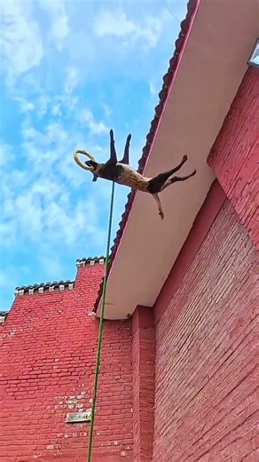 End Tak Dekhna 😱🔥Aakhri Scene Mind Blowing Hai 🤯Yeh Video Sabko Shock Kar Degi 😳#tricking #shorts