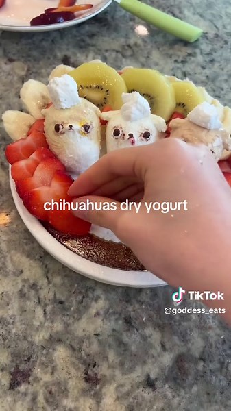 Chihuahua-Sized Yogurt Treats for Your Furry Friend