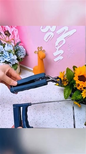 Key Daily Necessities for a Better Life