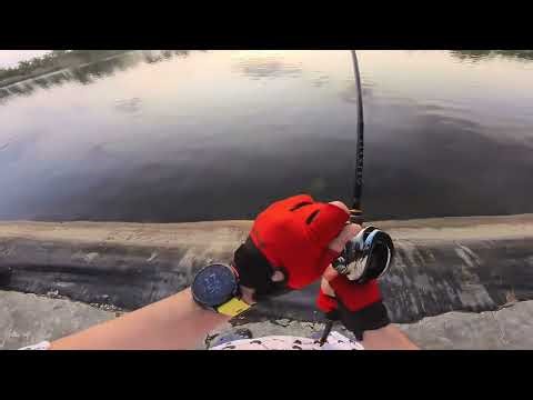 Antares DC 2021 with custom drag clicker