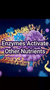 7.4K views · 134 reactions | Enzymes are one of the most important...