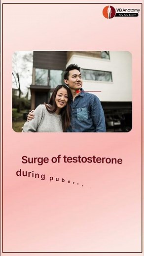 Why Do Boys’ Voices Change During Puberty? 🗣️ Explained!