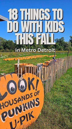 18 Things to do with KIDS this FALL in Metro Detroit! ⬇️ It’s officially Fall and time for all the Fall Fun & Festivities – here are our favorites: 🛝 Ride the slide at Kackleberry Farms 🍎 Funland at Blake Farms 🌽 Complete the corn maze at Debucks ⛸️ Catch Mickey LIVE at Disney on Ice 🚂 Ride the train at Three Cedars Farm ☠️ Say “Hi” to the skeletons in Northville (FREE) ✨ Halloween Light Show at Bostick Family House (FREE) 🎃 Pick a pumpkin at Westview Orchards 🏈 Sign up for Fall Sports wit
