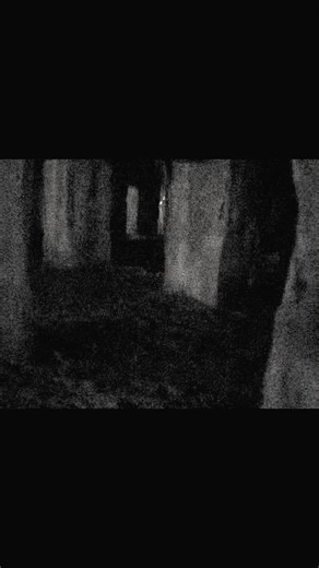 Exploring Analog Horror Themes in Modern Storytelling