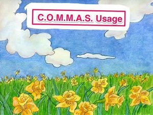 Use of Commas Video Lesson (3 of 6)