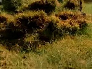 stonehenge apocalypse; incipit