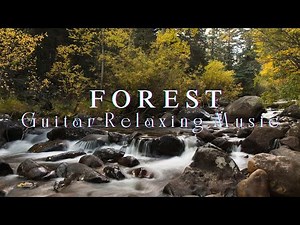 Relaxing Guitar Music - Soothing Acoustic Melodies for Stress Relief & Deep Relaxation 🎸✨