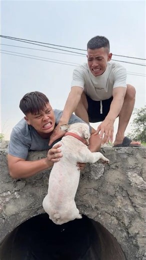Brave Boy Risks Everything to Save Dog from Dangerous River Fall 🐶💔