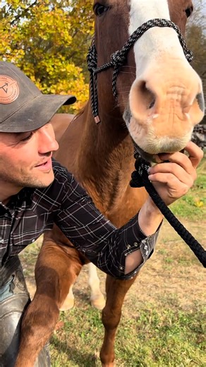 35K views · 436 reactions | Making it look all shiny  | Furry Tails | Facebook