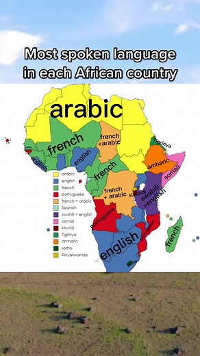 i tried my best to label them all 😭 #africa #maps #geography #languages