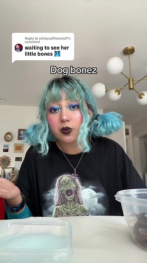 Exploring the World of Pet Preservation and Taxidermy