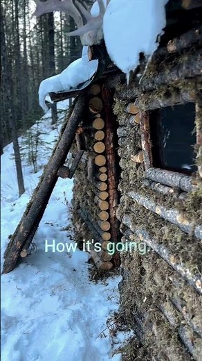 From Nothing to a Bushcraft Cabin in the Canadian Wilderness 🌲