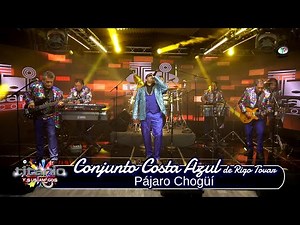 Conjunto Costa Azul de Rigo Tovar - Pájaro Chogüí