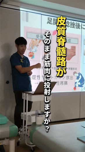 【公式】Neuro Sports Rehabilitation on Instagram: "超基本的なところではあるけれど、意外と点と点が繋がってない部分👀 α運動ニューロンとは、皮質脊髄路からシナプスを受けた「運動神経」なので、投射する筋肉によって名称は変わります。 #柔道整復師 #鍼灸師 #スポーツトレーナー"