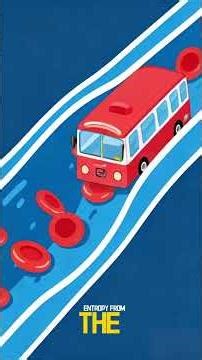 Why Your Life Feels Chaotic (It's Science, Not You)