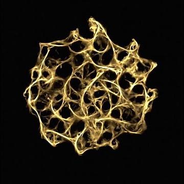 Soothing Slime Mold (Physarum) Simulation in Blender